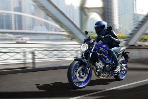 SV650AM5_Action_1